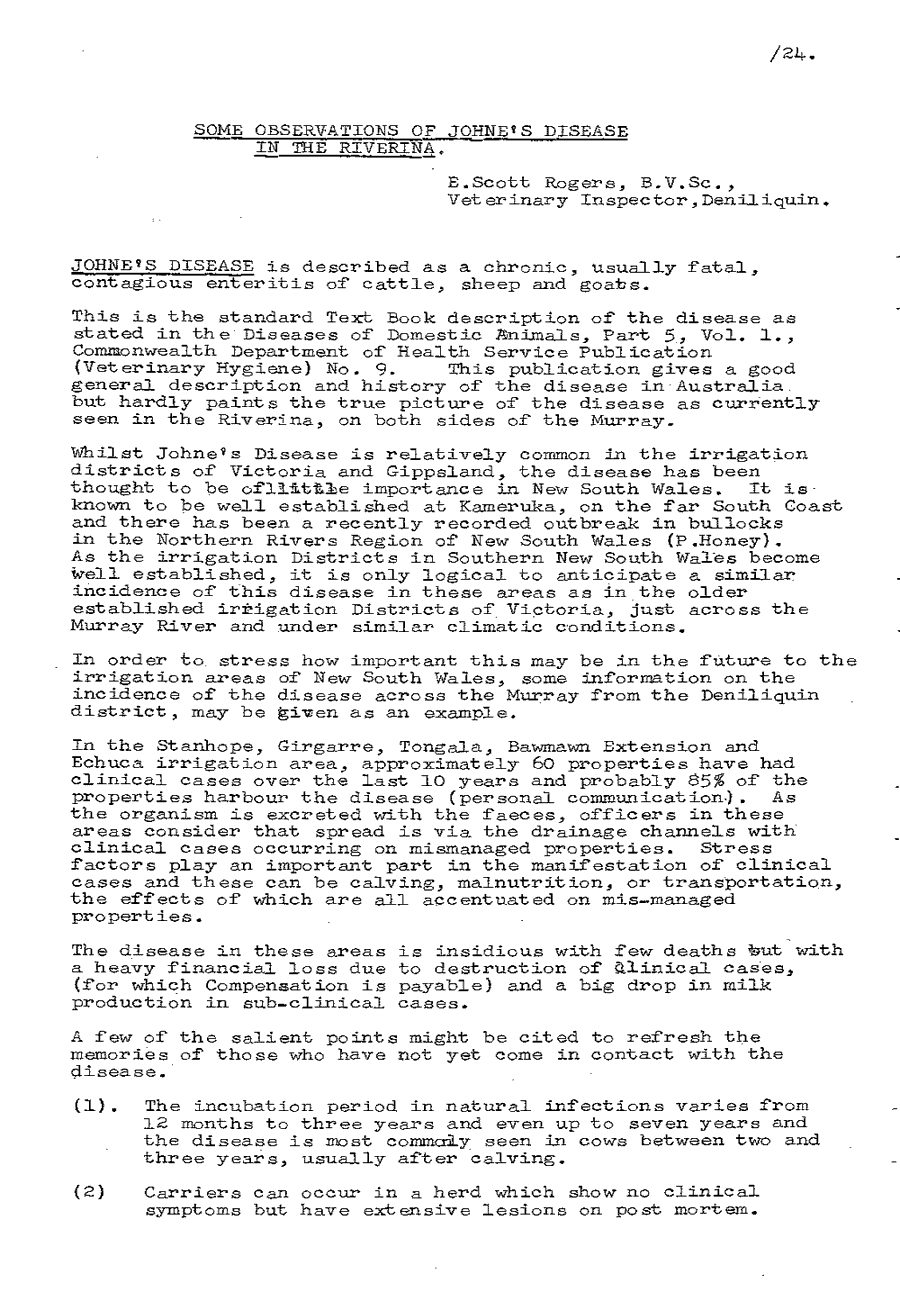 1975 page 24
